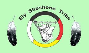 Ely Shoshone Tribe Flag – authentic Native American tribal flag