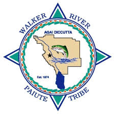 Walker River Paiute Tribe Flag – authentic Native American tribal flag