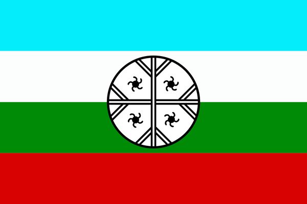 Mapuche Tribal Flag -  Huenteche territory – authentic Native American tribal flag