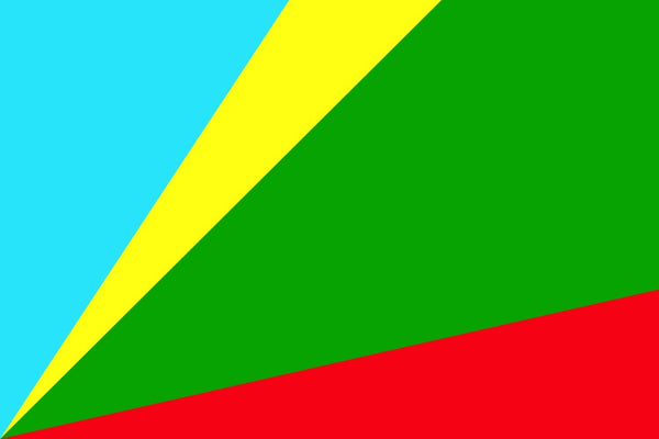 Mapuche Tribal Flag - Huilliche territory – authentic Native American tribal flag