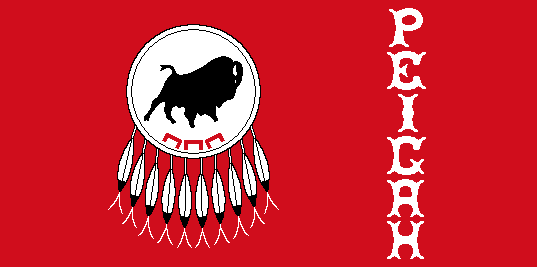 Piikani (Piegan) First Nation Flag – authentic First Nations indigenous flag