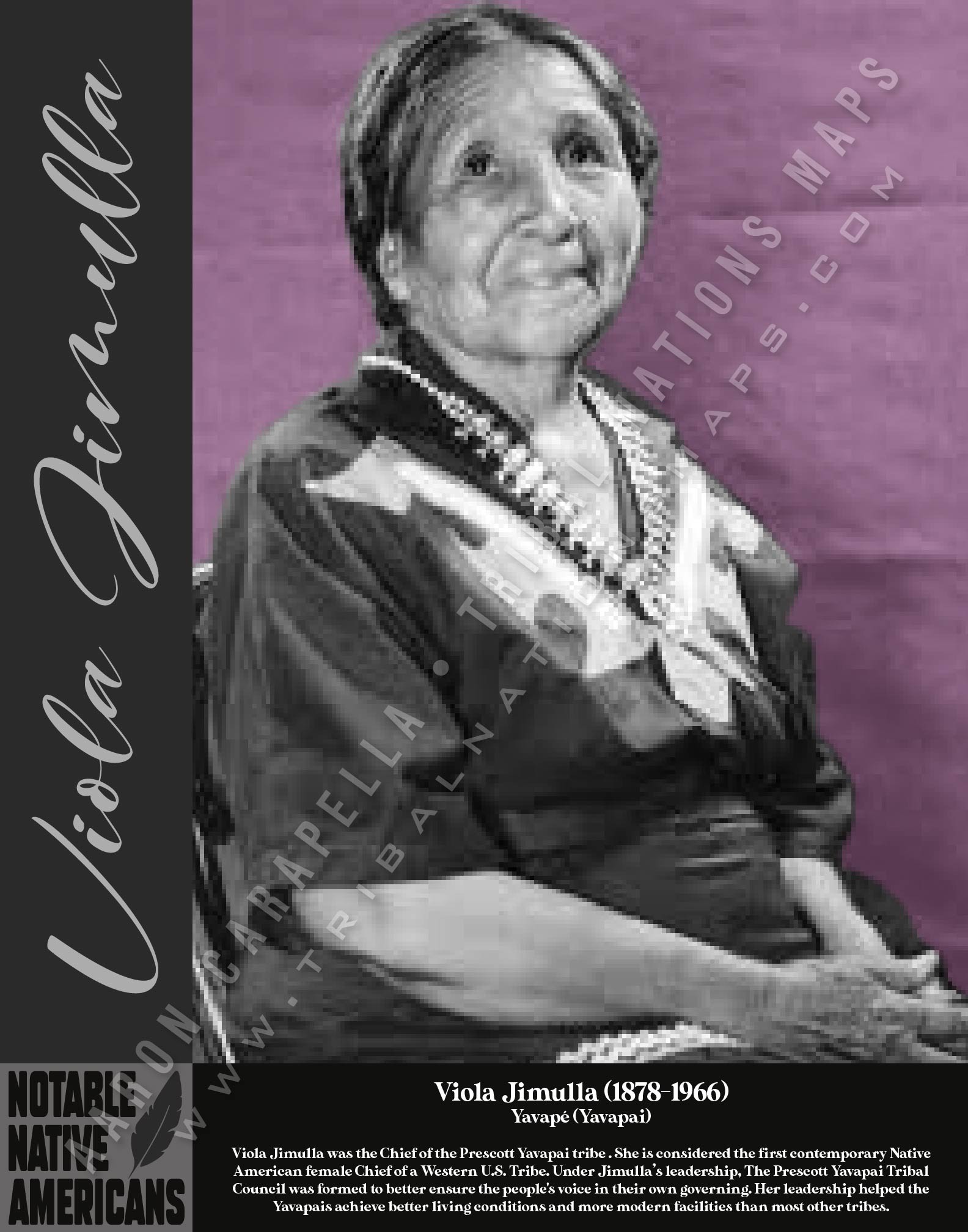 Viola Jimulla — Native American historical figure portrait poster