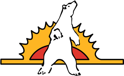 Fort Severn First Nation Flag – authentic First Nations indigenous flag
