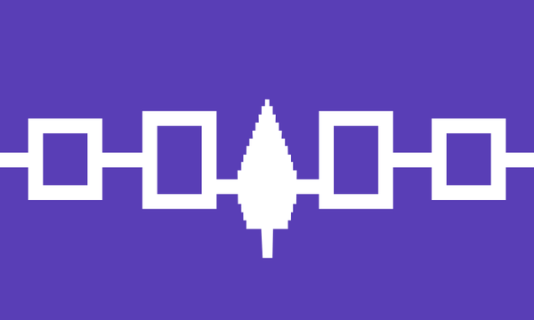 Haudenosaunee - Iroquois Confederacy Flag – authentic Native American tribal flag