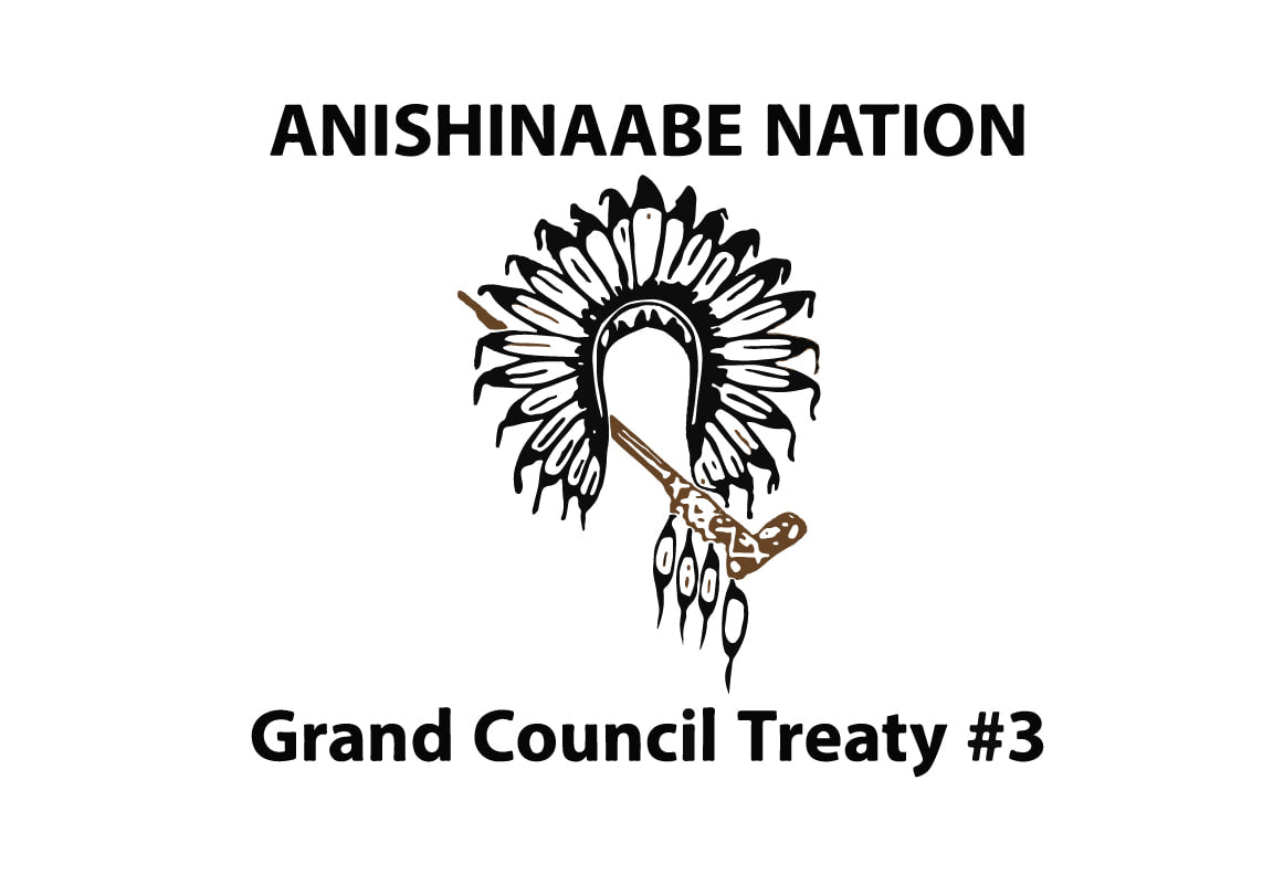 Treaty 3 Flag – authentic Native American tribal flag