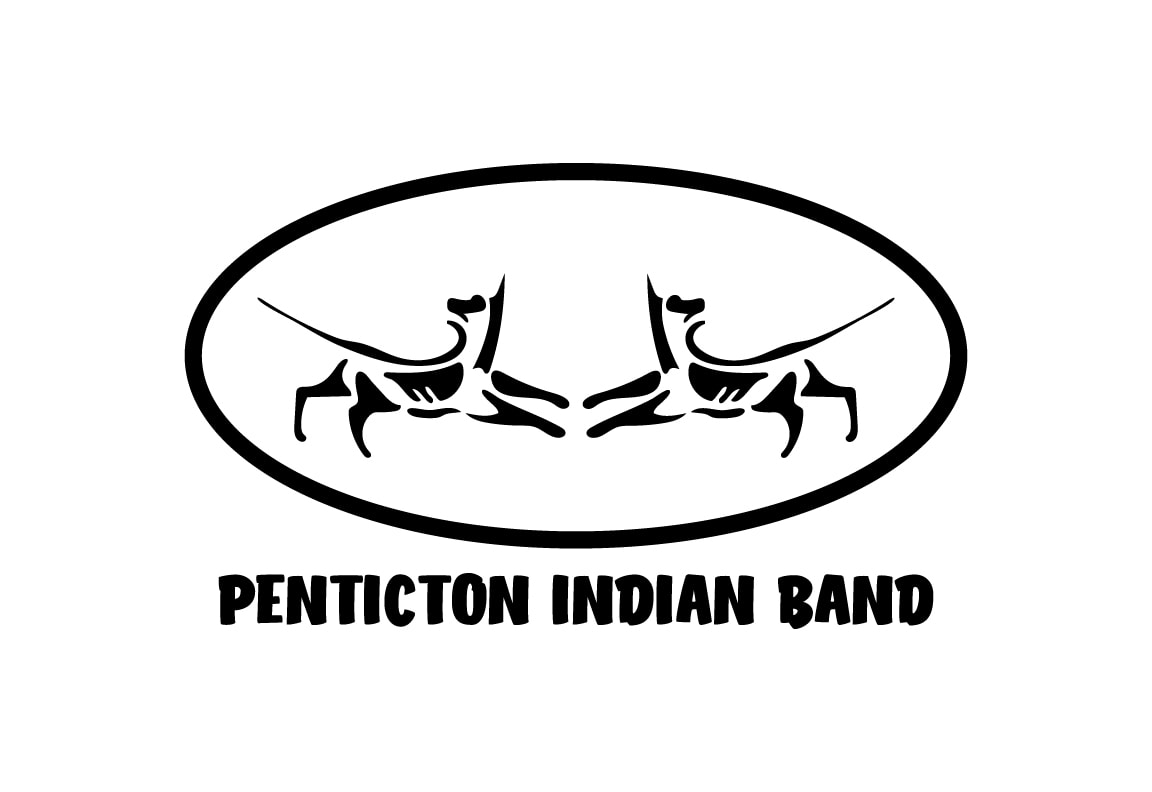 Penticton First Nation Flag – authentic First Nations indigenous flag