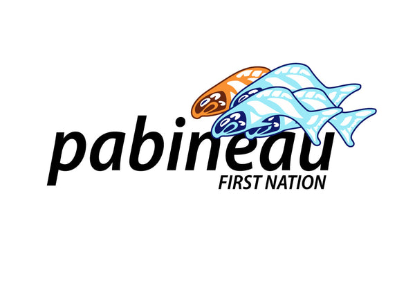 Pabineau First Nation Flag – authentic First Nations indigenous flag