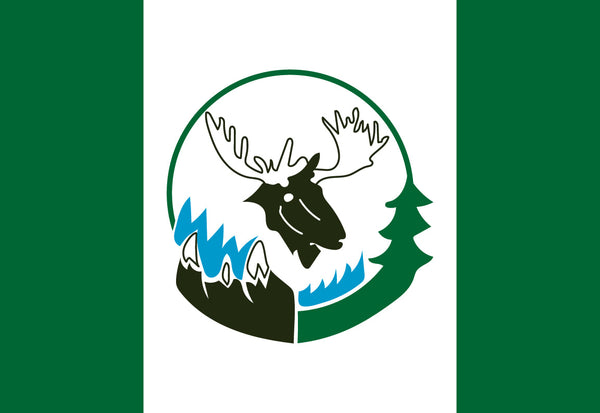 Deninu K'ue First Nation Flag – authentic First Nations indigenous flag