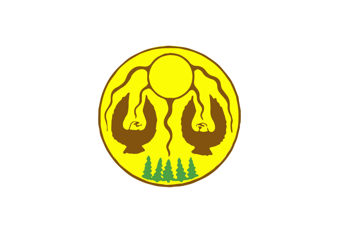 Mattagami First Nation Flag – authentic First Nations indigenous flag