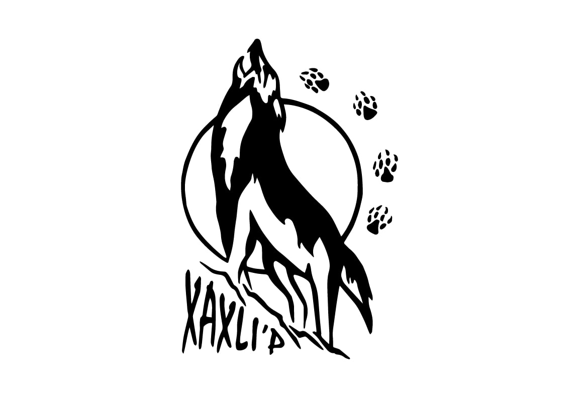 Xaxli'p First Nation Flag – authentic First Nations indigenous flag