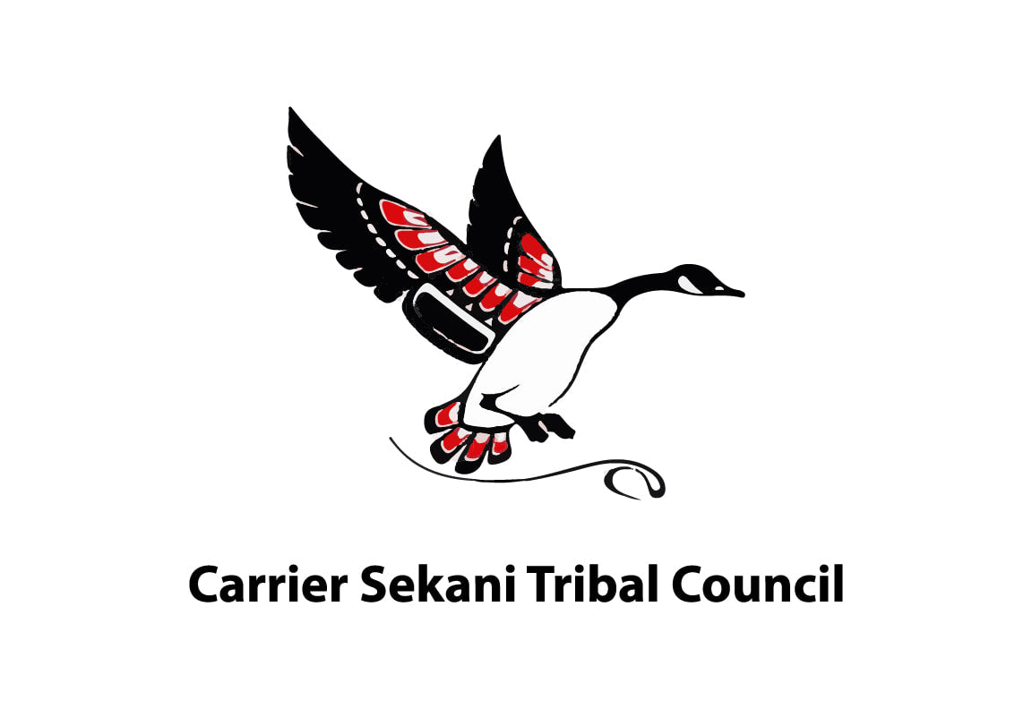 Carrier Sekani Tribal Council Flag – authentic Native American tribal flag
