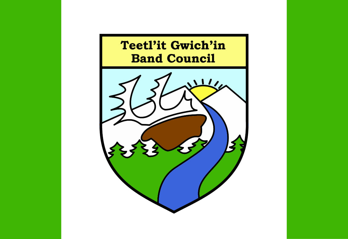 Teetl'it Gwich'in Band Council Flag – authentic Native American tribal flag