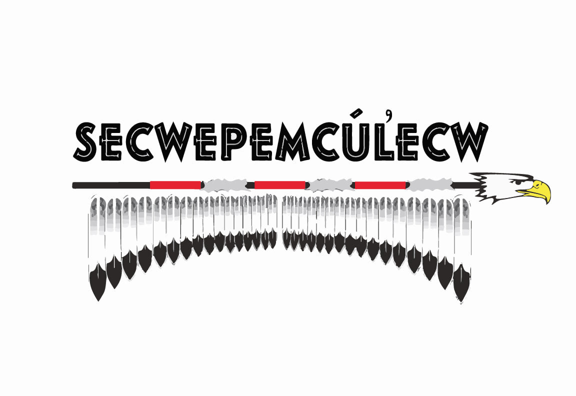 Secwepemc First Nation Flag – authentic First Nations indigenous flag