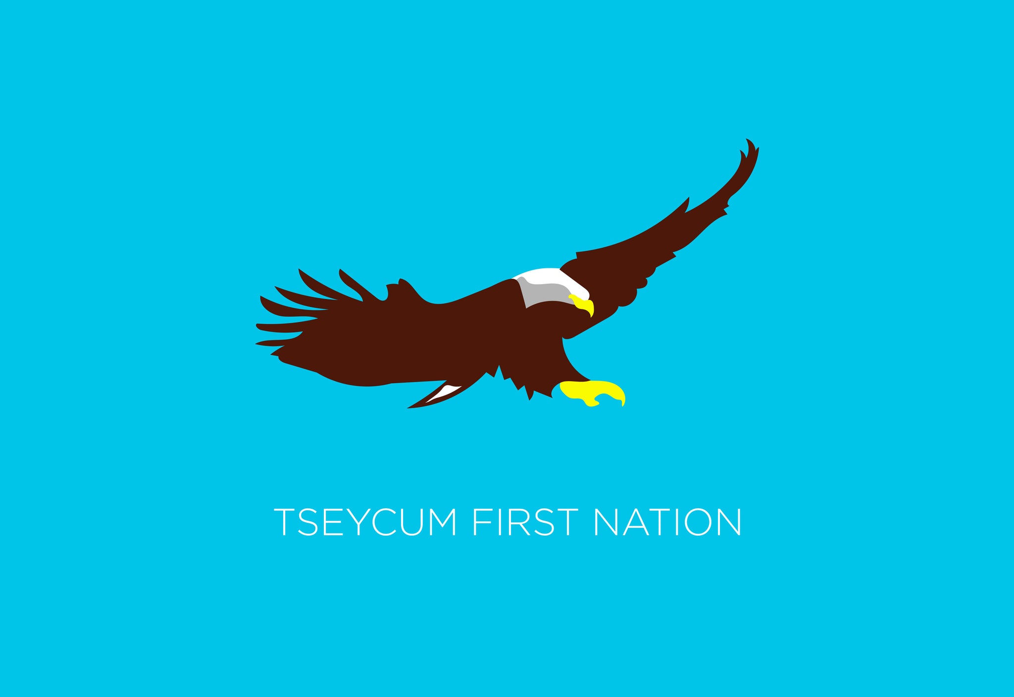 Tseycum First Nation Flag – authentic First Nations indigenous flag