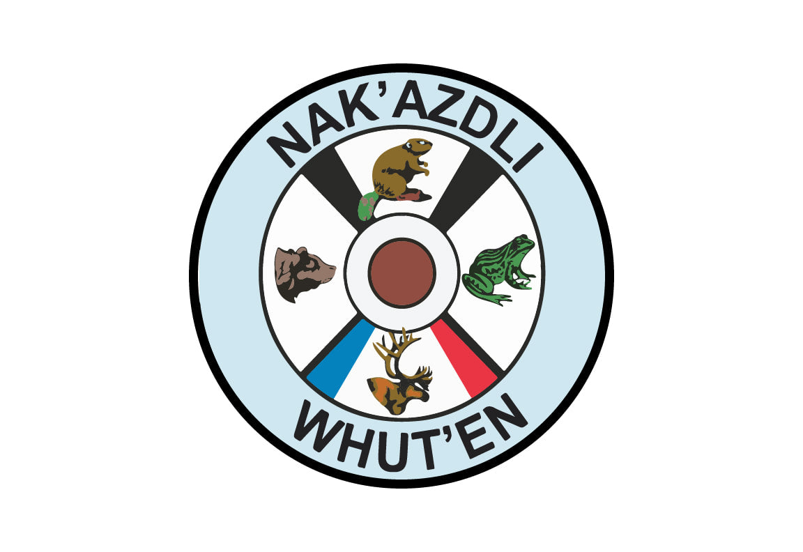 Nak'azdli Whut'en First Nation Flag – authentic First Nations indigenous flag