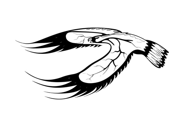Eagle Lake First Nation Flag – authentic First Nations indigenous flag