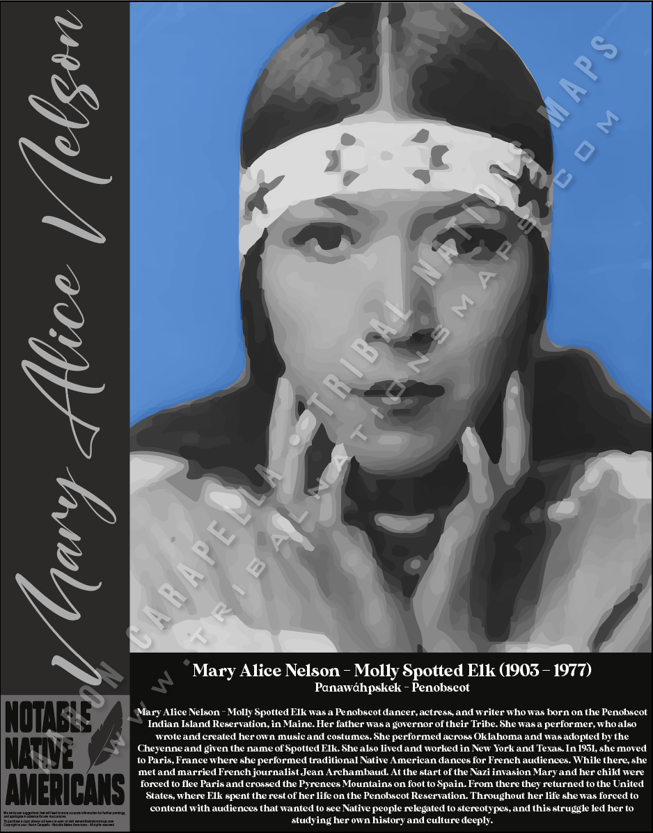 Mary Alice Nelson — Native American historical figure portrait poster