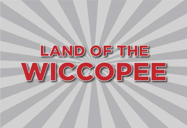 Land of the Wiccopee Flag – authentic Native American tribal flag