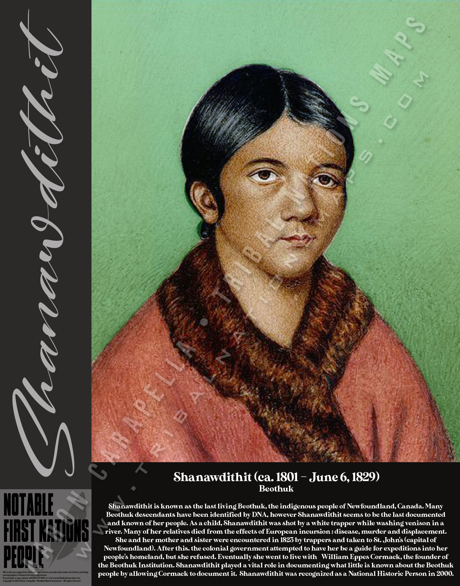 Shanawdithit — Native American historical figure portrait poster