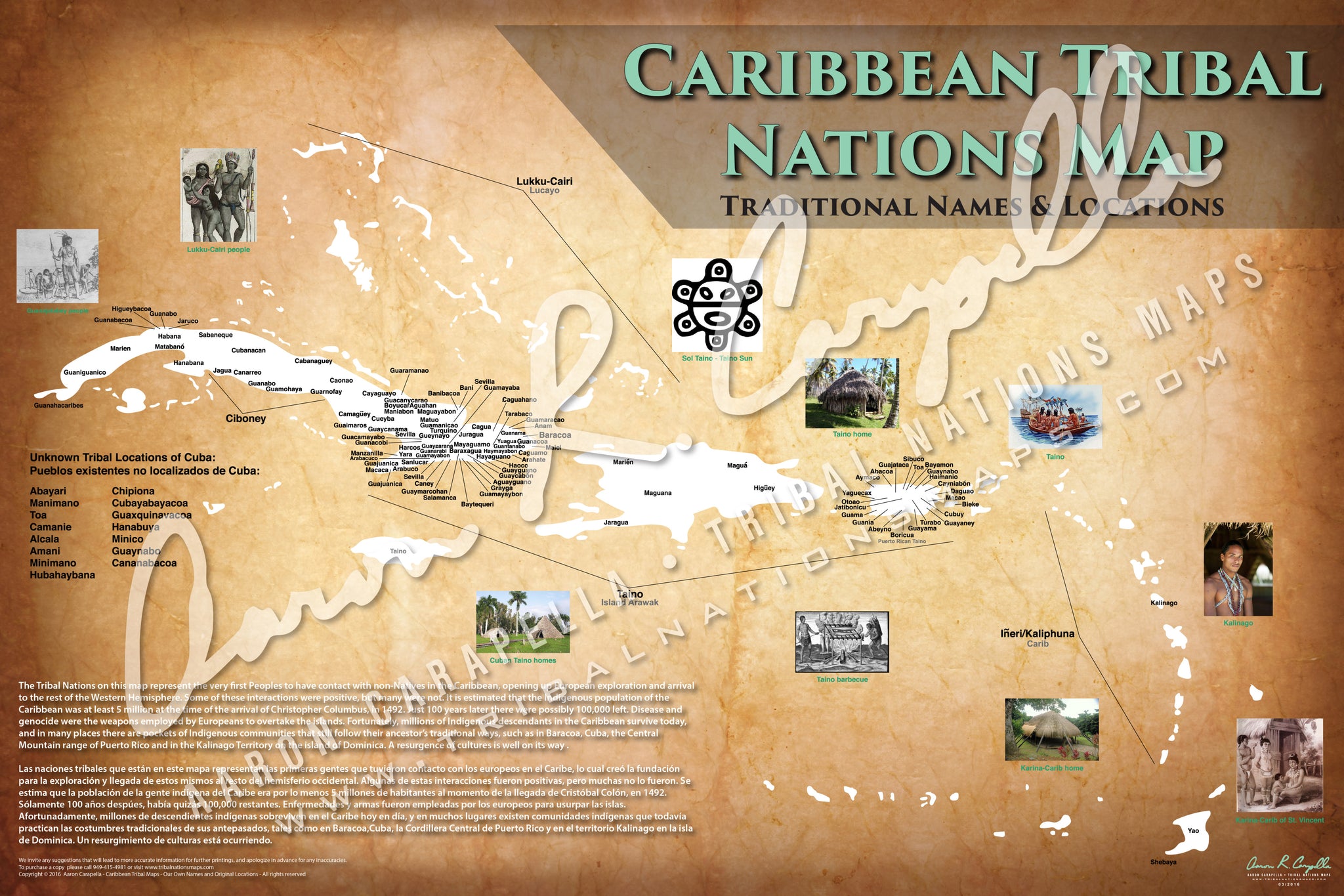 Caribbean Tribal Nations Map - 24"x36" — pre-contact Native American tribal homeland map poster