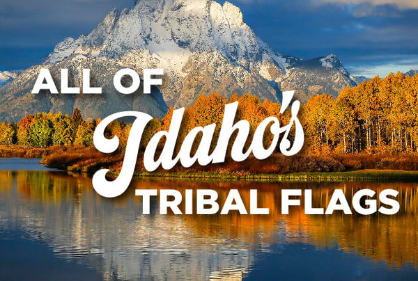 Tribal flags of Idaho – authentic Native American tribal flag