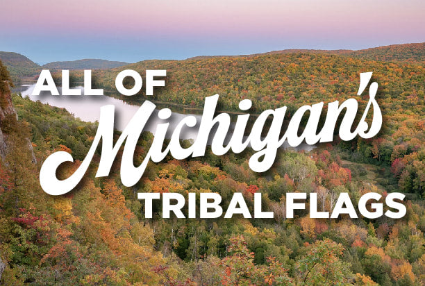 Native American Tribal Flags of Michigan (Set of 12 Flags)