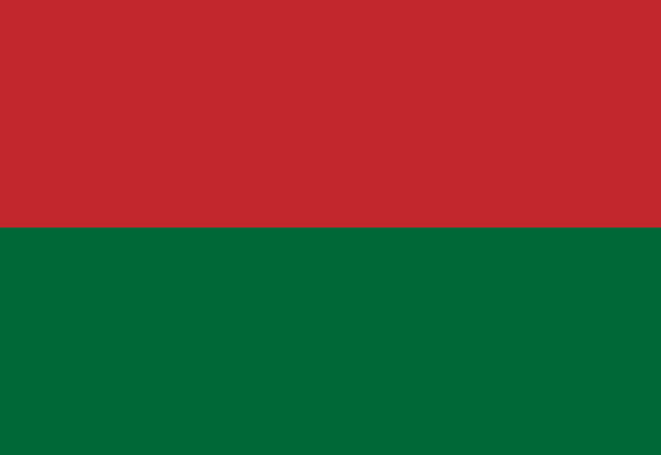 Bandera de los Guaraníes Flag – authentic Native American tribal flag