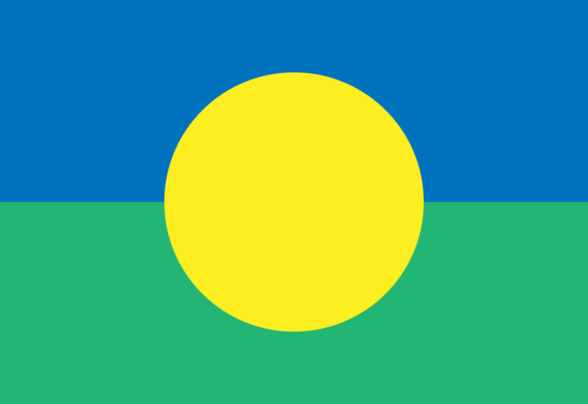 Bandera del Pueblo Mbya Guarani de Yyryapu Flag – authentic Native American tribal flag