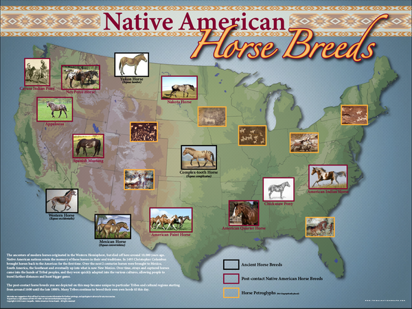 Native American Horse Breeds - 18"x24" — pre-contact Native American tribal homeland map poster