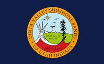 Uinta Valley Shoshone Flag – authentic Native American tribal flag