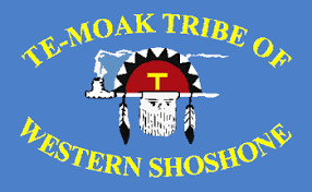 Te-Moak Tribe of Western Shoshone flag – authentic Native American tribal flag