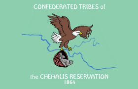 Confederated Tribes of the Chehalis Flag | Native American Flags for Sale Online