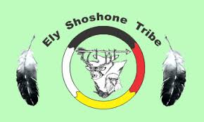 Ely Shoshone Tribe Flag | Native American Flags for Sale Online