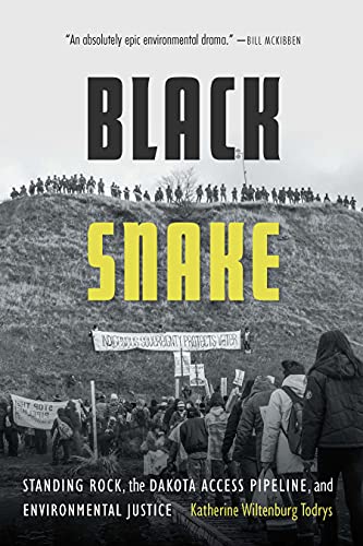 Black Snake: Standing Rock, the Dakota Access Pipeline, and Environmental Justice | Buy Book Now at Indigenous Peoples Resources