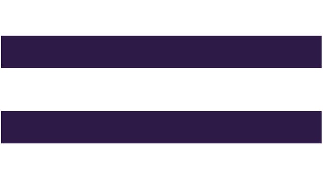 Two Row Wampum Flag | Native American Flags for Sale Online