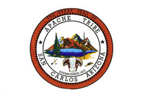 San Carlos Apache Flag | Native American Flags for Sale Online