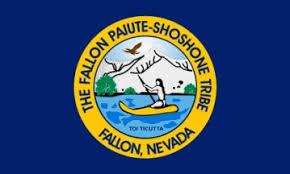 Fallon Paiute-Shoshone Tribe Flag | Native American Flags for Sale Online