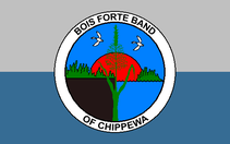 Bois Forte Chippewa Tribe Flag | Native American Flags for Sale Online