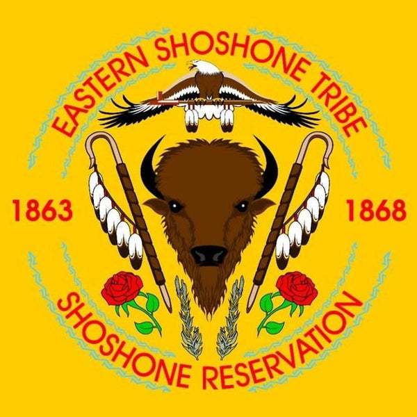 Eastern Shoshone Tribal Flag | Native American Flags for Sale Online