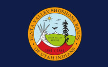 Uinta Valley Shoshone Flag | Native American Flags for Sale Online