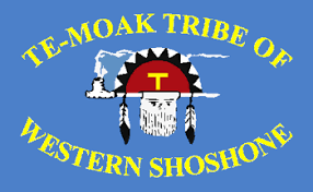 Te-Moak Tribe of Western Shoshone flag | Native American Flags for Sale Online